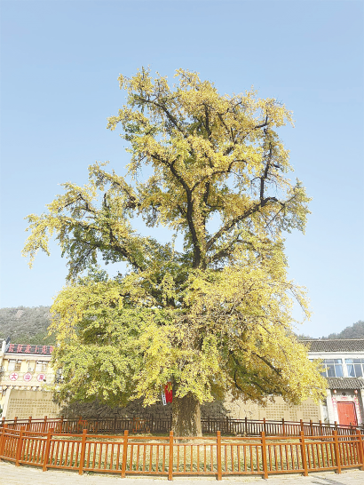 让红色根脉在传承与实干中枝繁叶茂-锐度写作