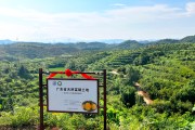 以橙为基绘振兴画卷 产业赋能推进百千万工程-锐度写作