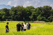以法治闭环护生态底色 以协同共治筑绿美韶关-锐度写作